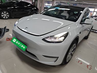 Tesla Model Y 2021 Tesla Model Y 2021 car image