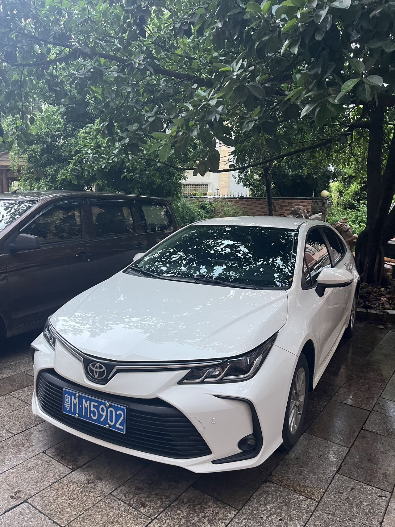 Toyota Corolla 2024 car image 