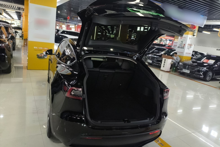 Tesla Model Y 2021 car image #19