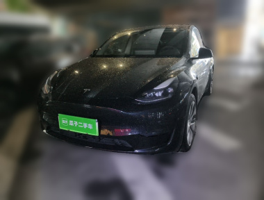 Tesla Model Y 2022 car image 