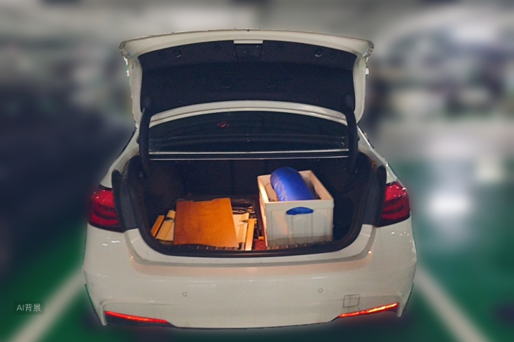 BMW 3 Series 2019 car image #21