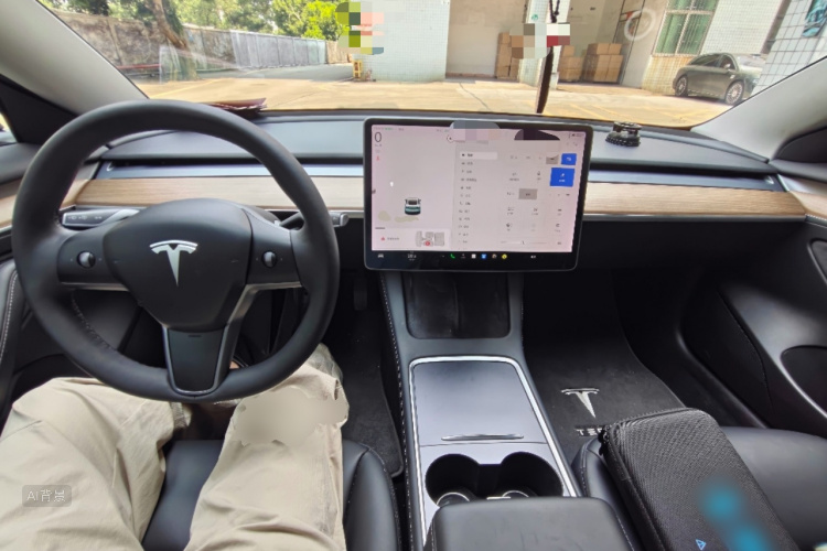Tesla Model 3 2021 car image #11