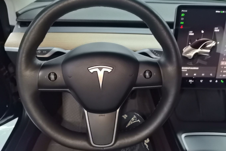 Tesla Model 3 2023 car image #11