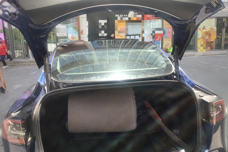 Tesla Model 3 2021 #21 Tesla Model 3 2021 car image #21