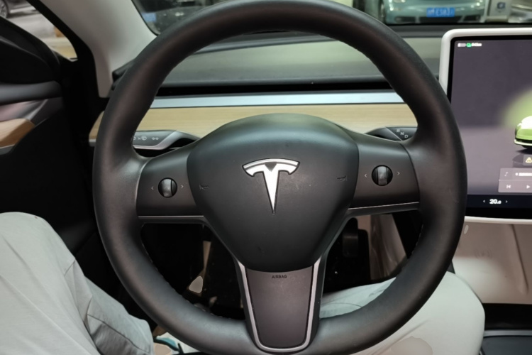 Tesla Model 3 2023 immagine di auto #11
