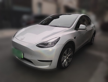 Tesla Model Y 2021 Tesla Model Y 2021 car image