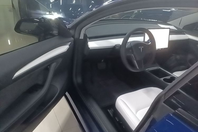 Tesla Model 3 2021 #16 Tesla Model 3 2021 car image #16