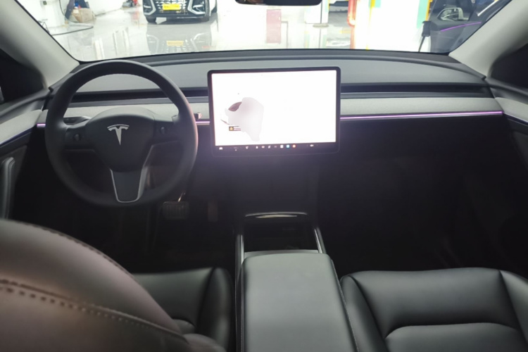 Tesla Model Y 2024 car image #10