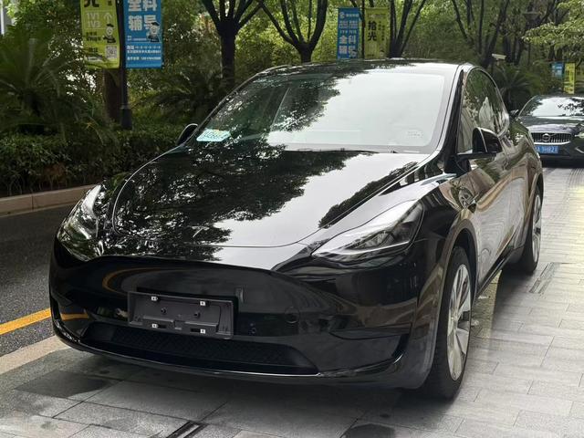 Tesla Model Y 2021 #12 Tesla Model Y 2021 car image #12