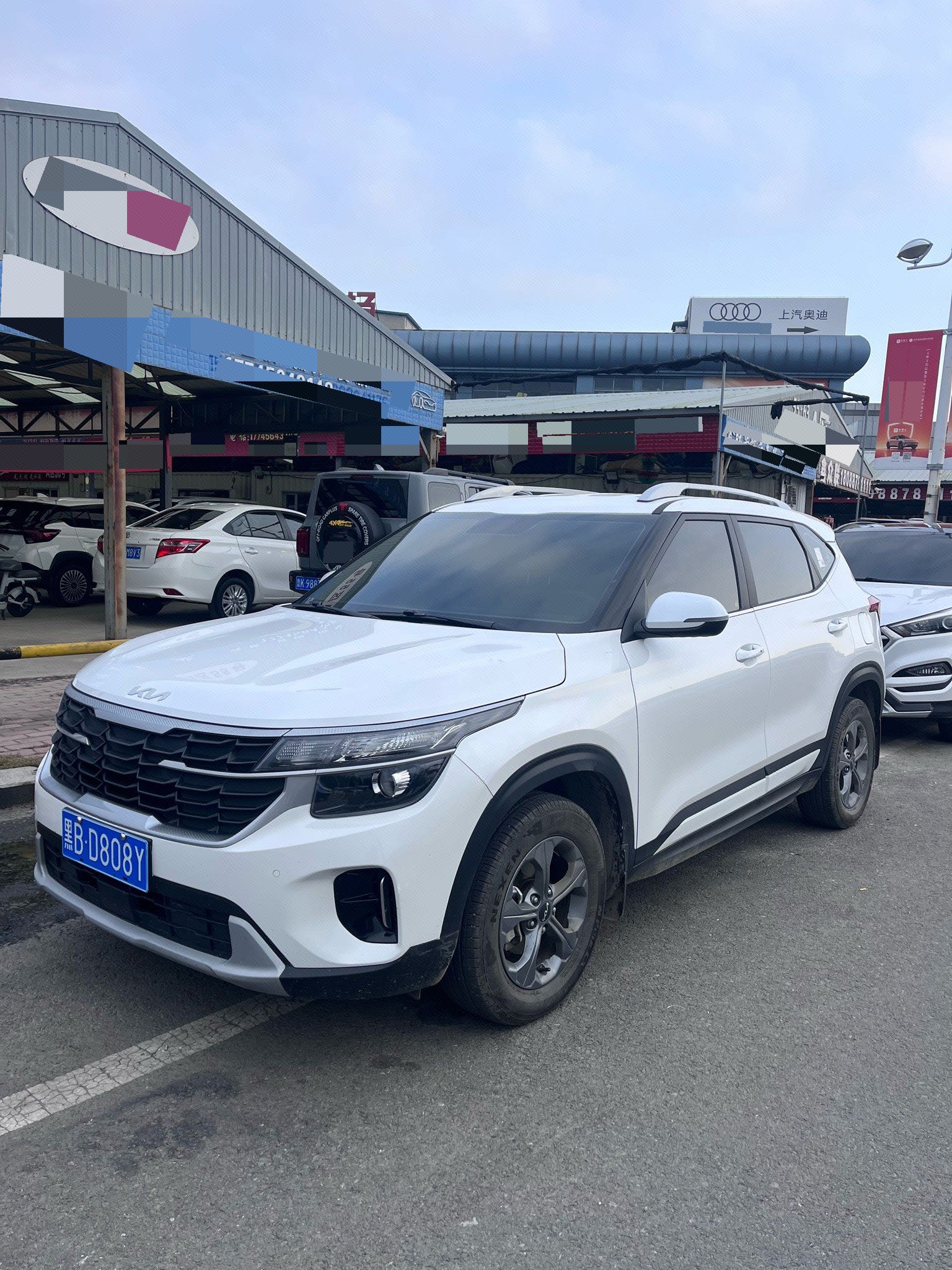 Kia Seltos 2024 immagine di auto 
