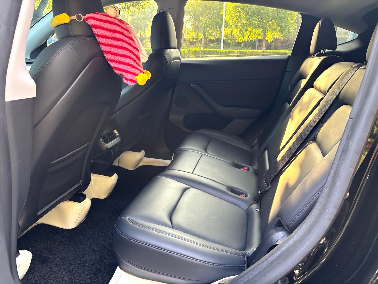 Tesla Model Y 2024 #5 Tesla Model Y 2024 car image #5