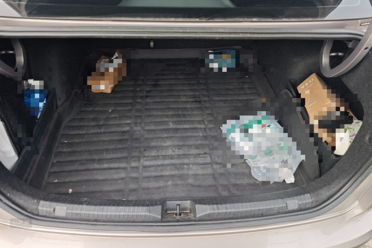 Volkswagen Bora 2020 image de voiture #21