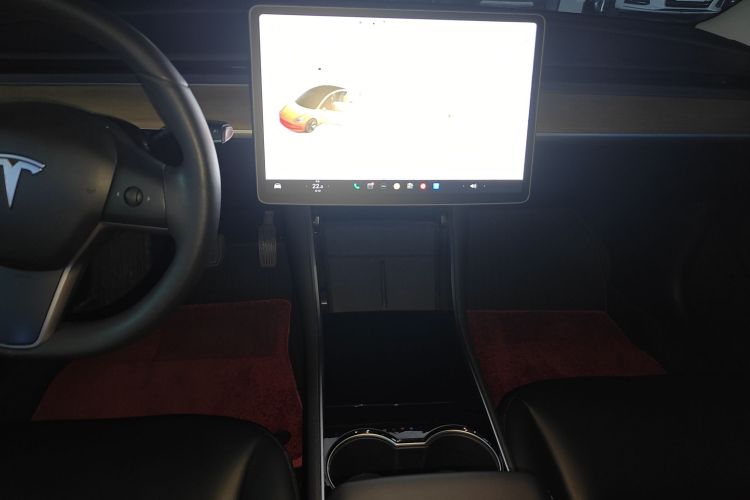 Tesla Model 3 2020 car image #13