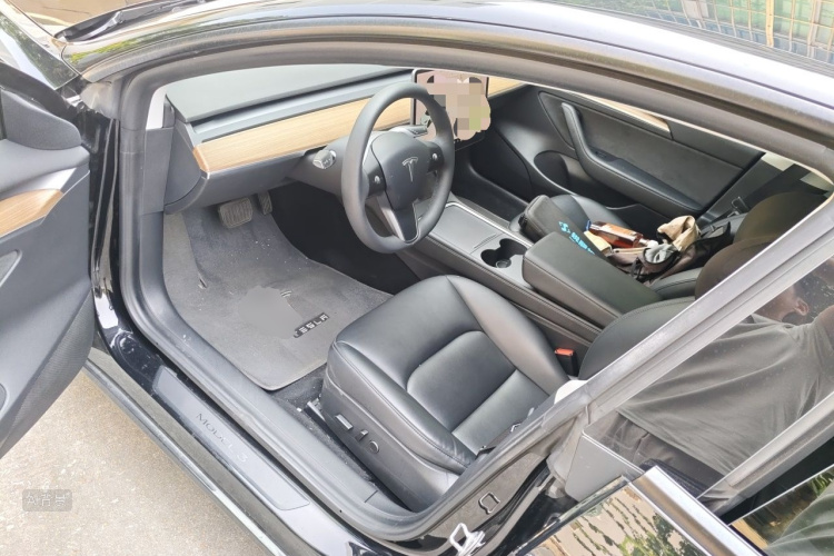 Tesla Model 3 2021 car image #18