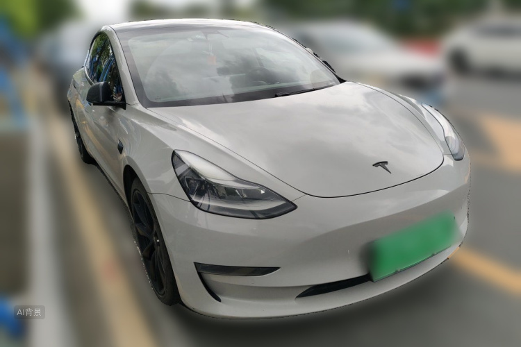 Tesla Model 3 2020 car image #4
