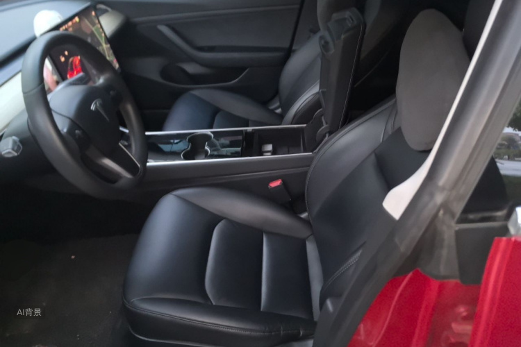 Tesla Model 3 2020 #17 Tesla Model 3 2020 car image #17