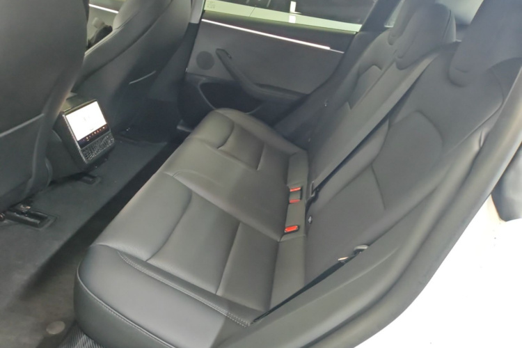 Tesla Model 3 2024 car image #13