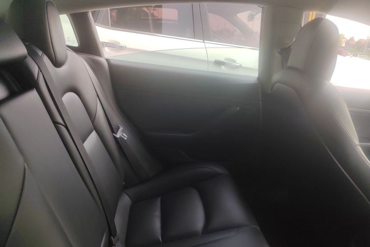 Tesla Model 3 2020 car image #10