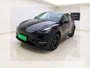 Tesla Model Y 2021 Tesla Model Y 2021 car image