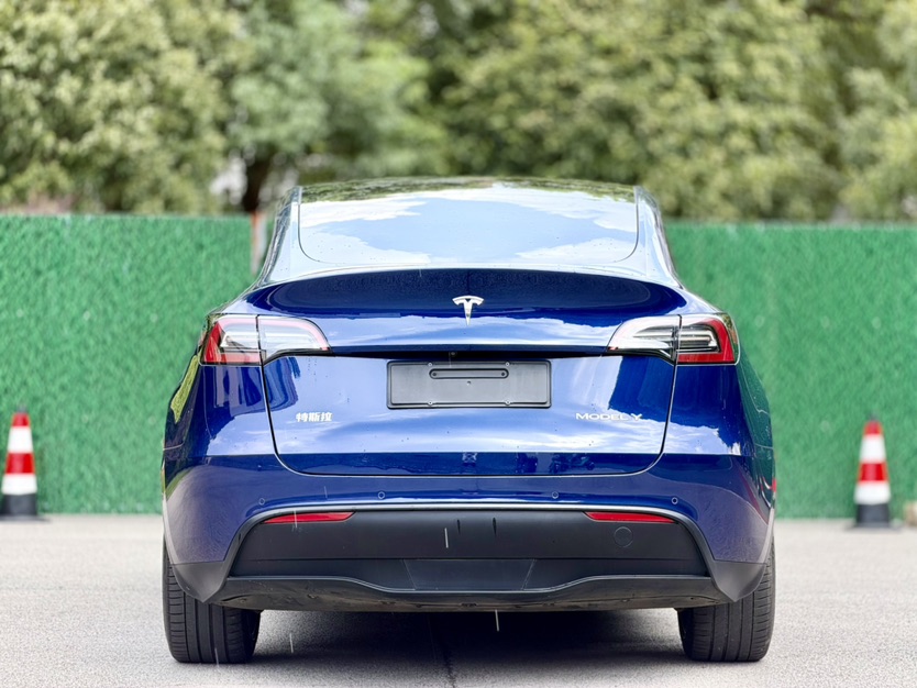 Tesla Model Y 2021 #4 Tesla Model Y 2021 car image #4