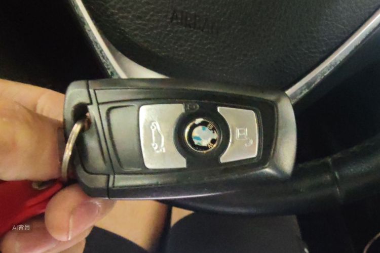 BMW 3 Series 2016 car image #10
