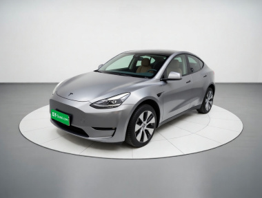 Tesla Model Y 2021 Tesla Model Y 2021 car image
