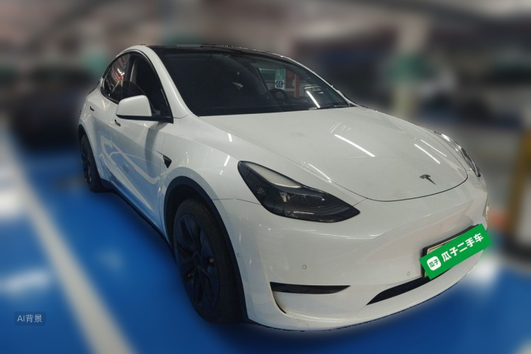 Tesla Model Y 2023 car image #4