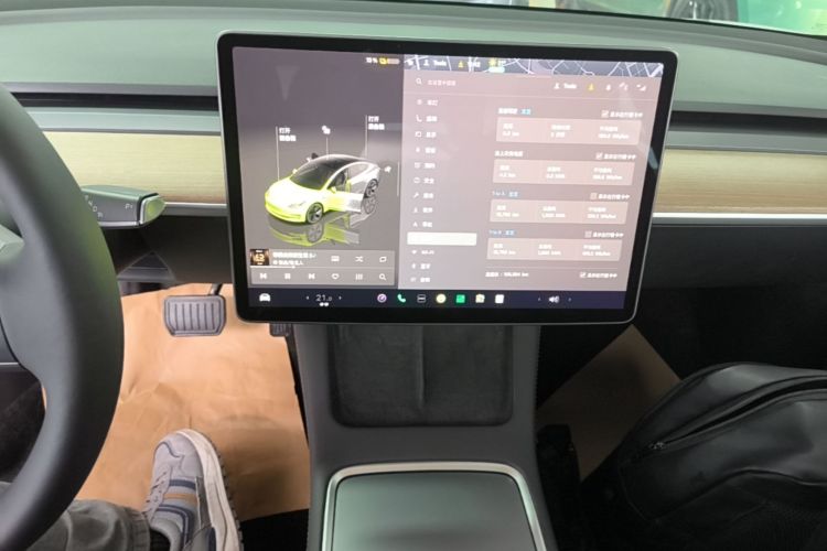 Tesla Model 3 2023 car image #13