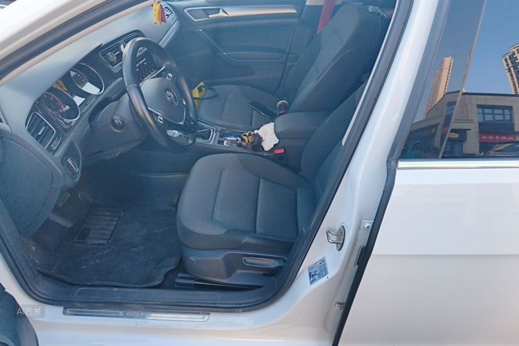 Volkswagen Golf 2019 #18 Volkswagen Golf 2019 car image #18
