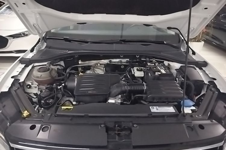 Volkswagen Bora 2020 car image #20
