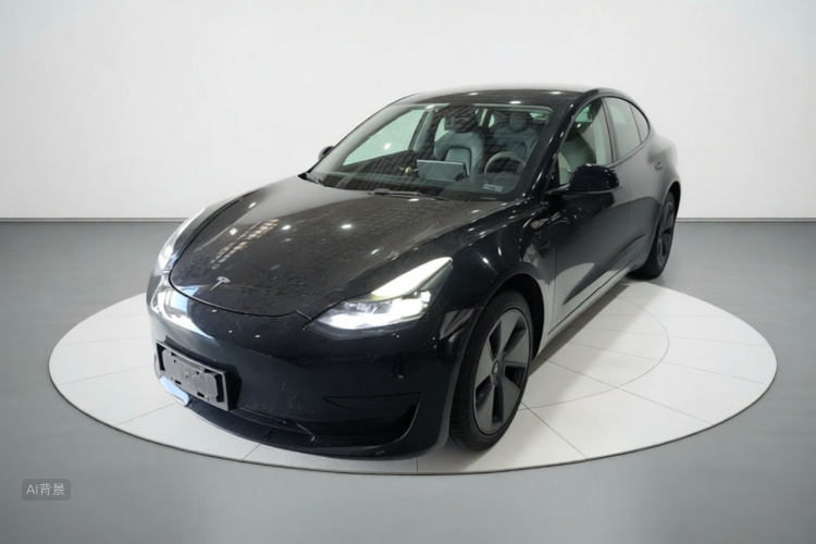 Tesla Model 3 2021 #2 Tesla Model 3 2021 car image #2