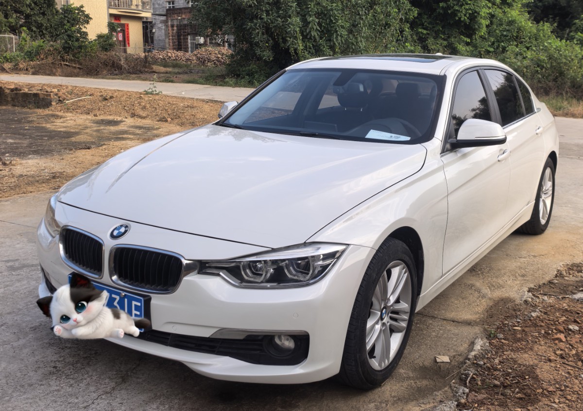BMW 3 Series 2016 immagine di auto 