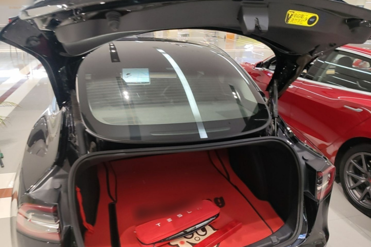 Tesla Model 3 2021 immagine di auto #19