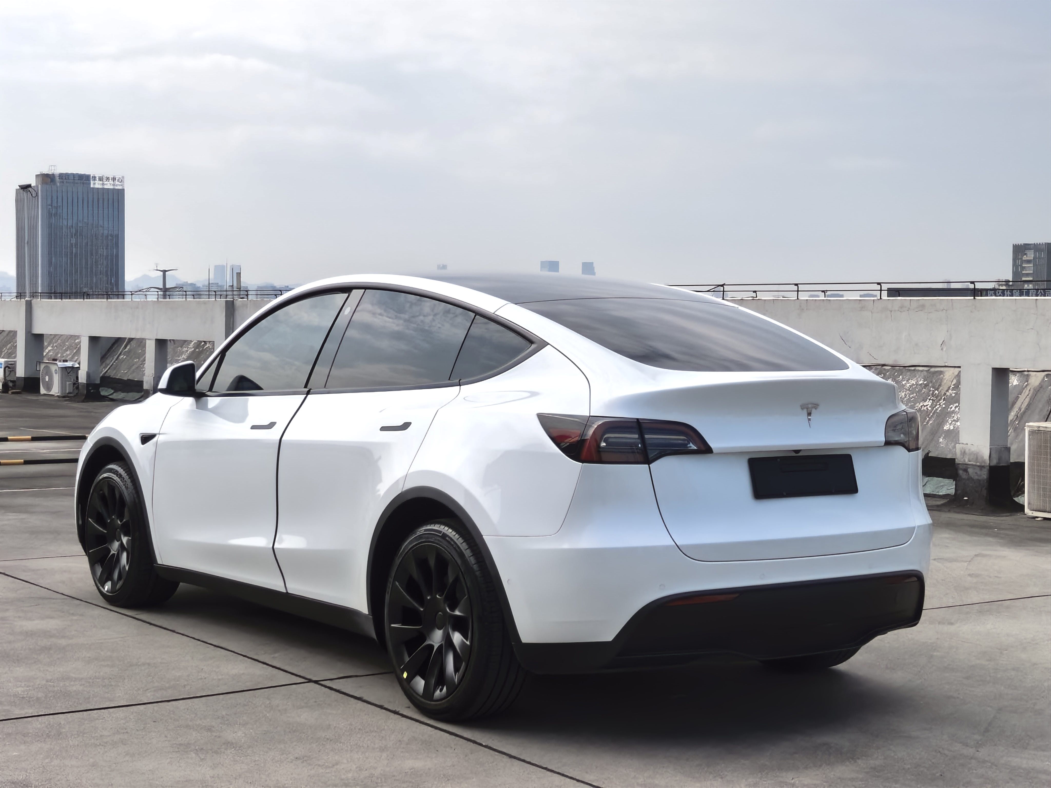 Tesla Model Y 2023 car image #6