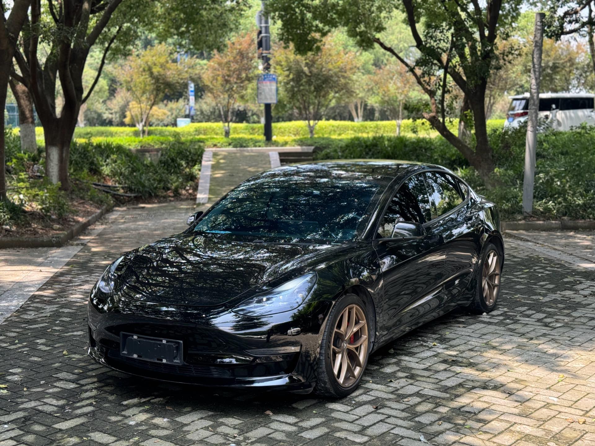 Tesla Model 3 2021 immagine di auto 