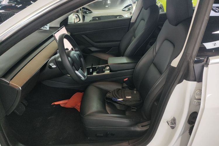 Tesla Model 3 2020 #15 Tesla Model 3 2020 car image #15