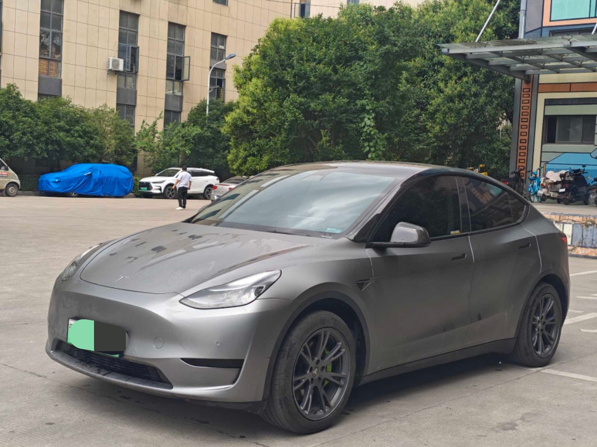 Tesla Model Y 2024 immagine di auto 