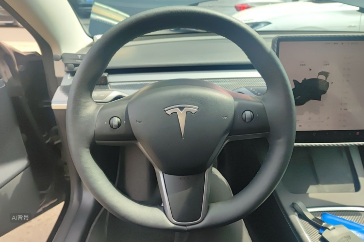 Tesla Model 3 2022 car image #12