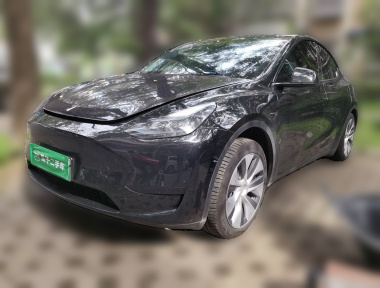 Tesla Model Y 2023 Tesla Model Y 2023 car image