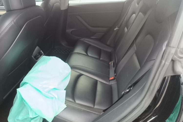 Tesla Model 3 2021 car image #17