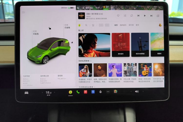 Tesla Model Y 2021 car image #13