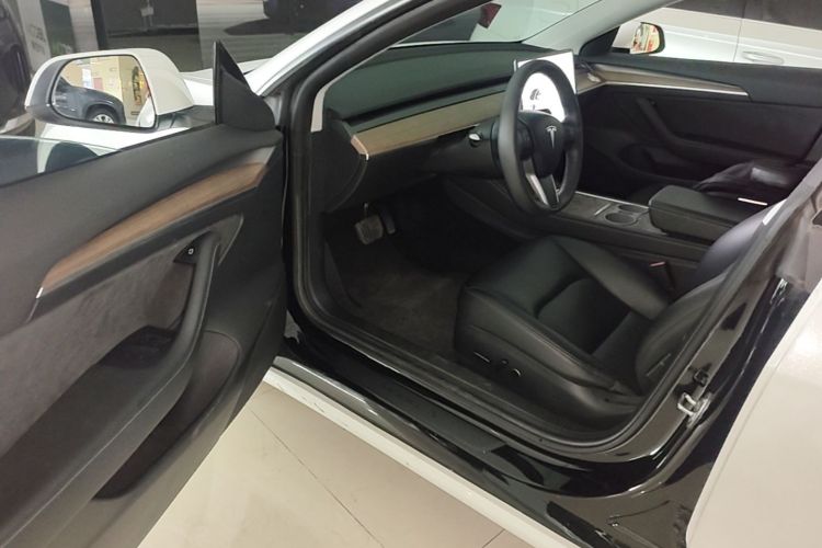 Tesla Model 3 2021 #16 Tesla Model 3 2021 car image #16