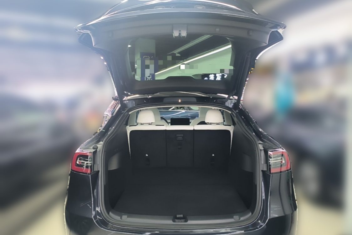 Tesla Model Y 2024 #10 Tesla Model Y 2024 car image #10