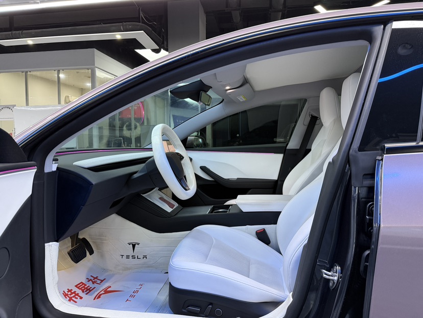 Tesla Model 3 2024 car image #4