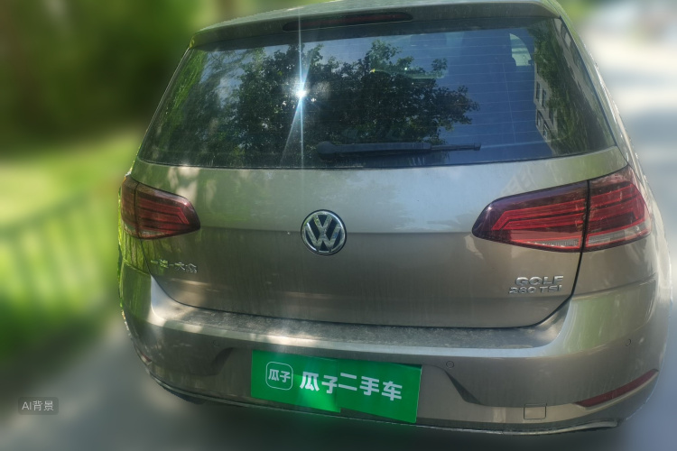 Volkswagen Golf 2019 #6 Volkswagen Golf 2019 car image #6