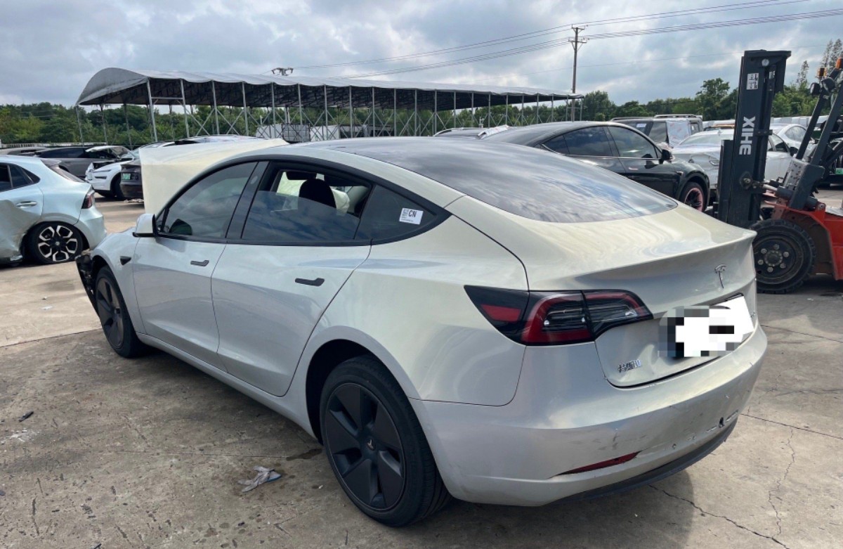 Tesla Model 3 2023 #8 Tesla Model 3 2023 car image #8