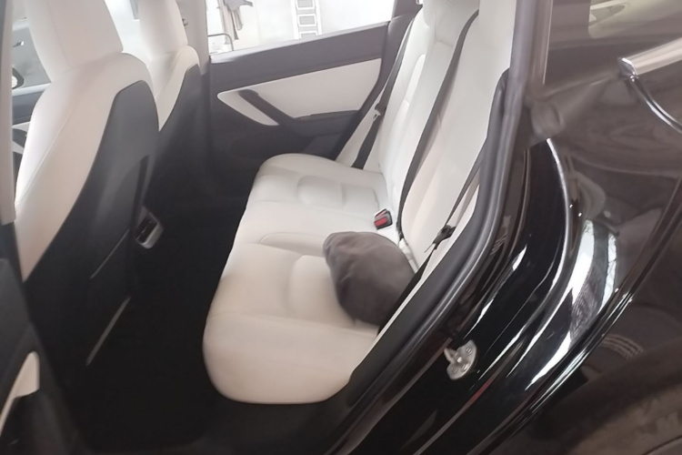 Tesla Model 3 2020 car image #17