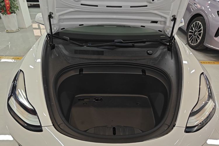 Tesla Model 3 2020 #20 Tesla Model 3 2020 car image #20