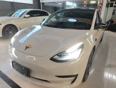 Tesla Model 3 2020 Tesla Model 3 2020 car image