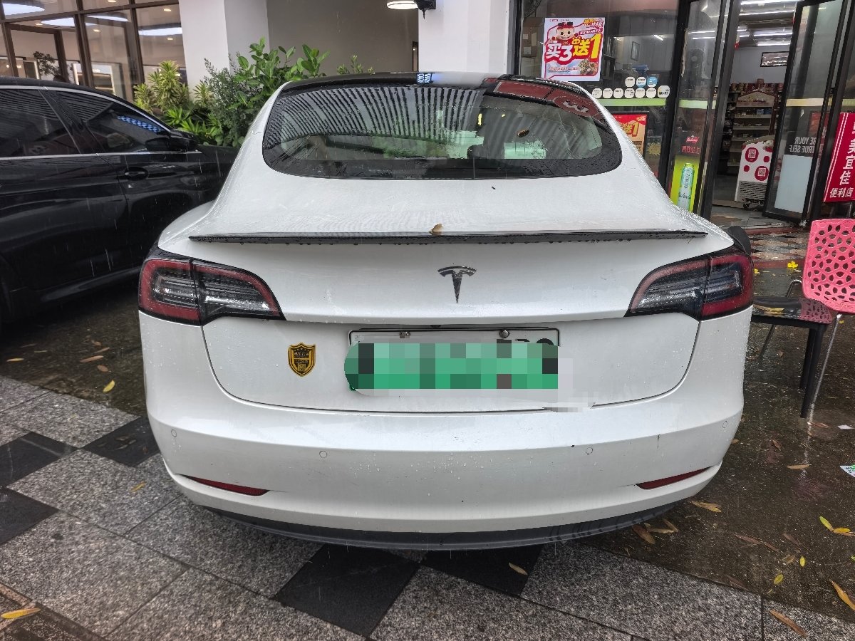 Tesla Model 3 2020 car image #3